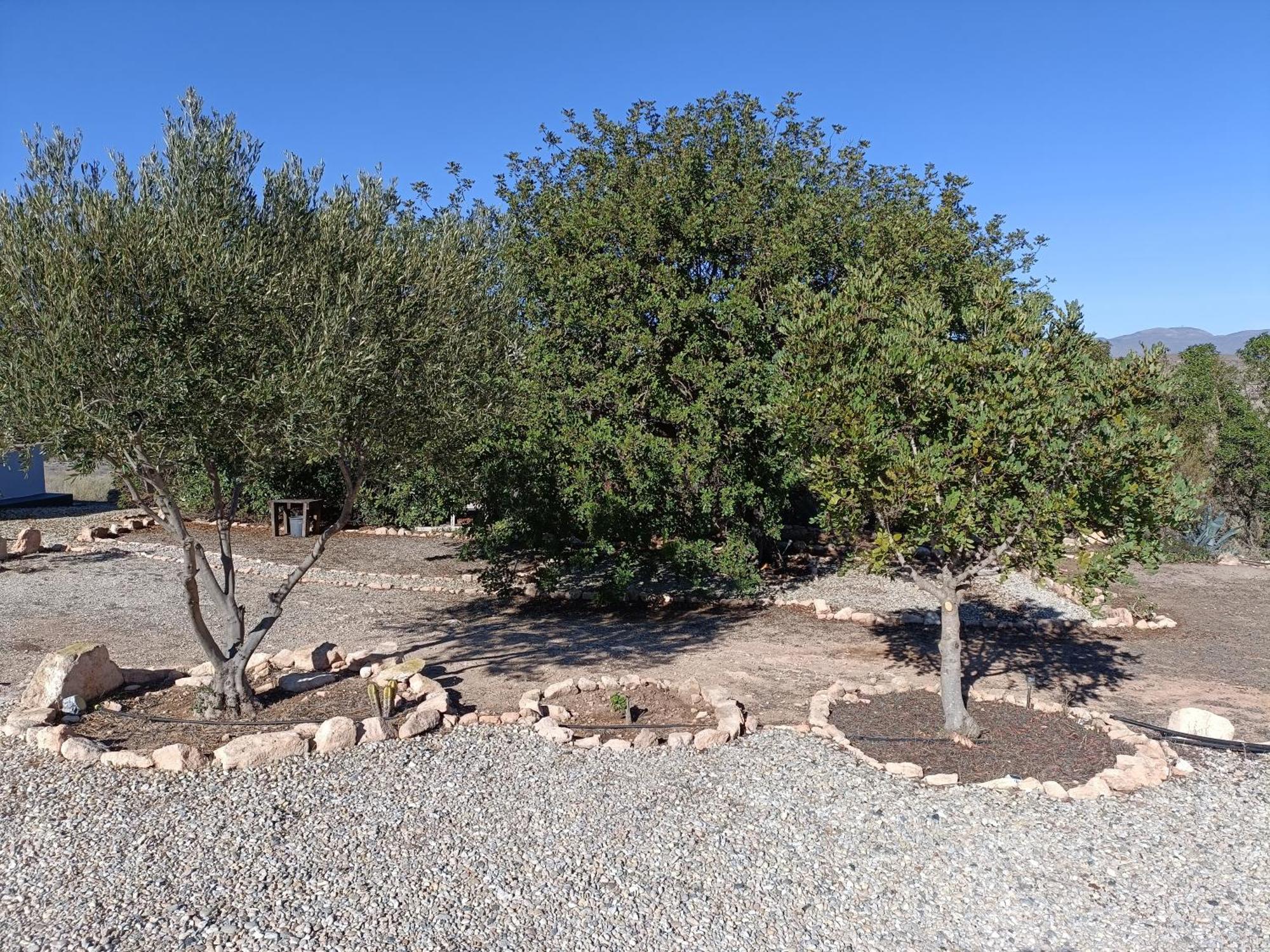 El Cerrillo Villa Agua Amarga  Bagian luar foto